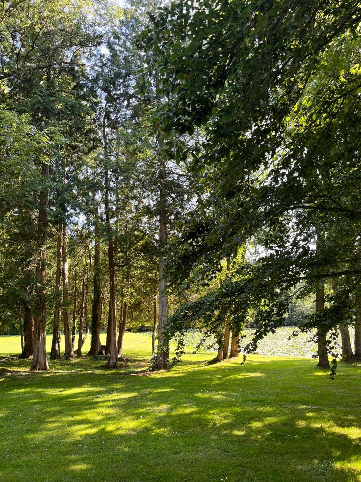 Abbaye De Blanchelande Bed & Breakfast Neufmesnil ภายนอก รูปภาพ
